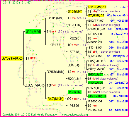 Pedigree of B757(MAK) :
four generations presented<br />it's temporarily unavailable, sorry!