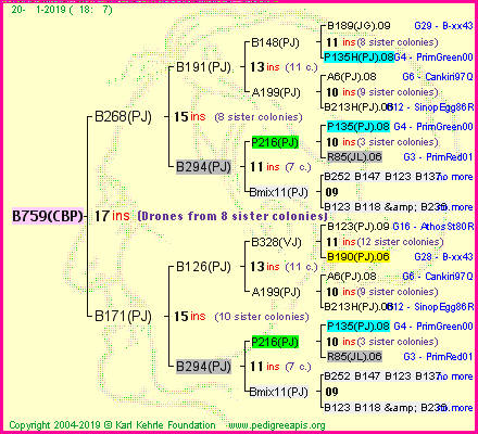 Pedigree of B759(CBP) :
four generations presented<br />it's temporarily unavailable, sorry!