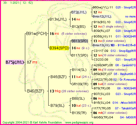 Pedigree of B75j(JYL) :
four generations presented
it's temporarily unavailable, sorry!