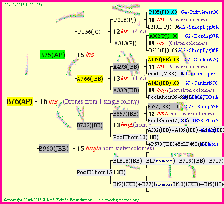 Pedigree of B76(AP) :
four generations presented<br />it's temporarily unavailable, sorry!