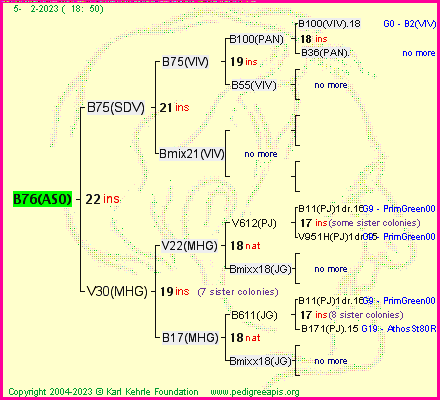 Pedigree of B76(ASO) :
four generations presented
it's temporarily unavailable, sorry!