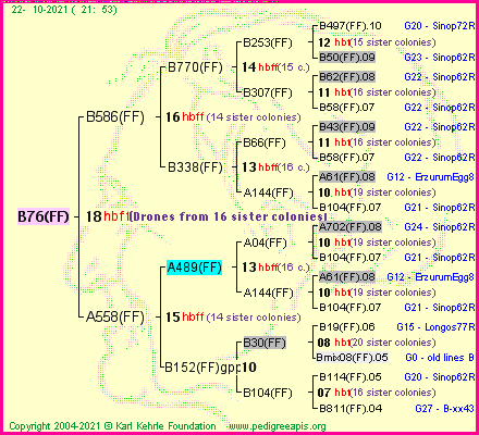 Pedigree of B76(FF) :
four generations presented
it's temporarily unavailable, sorry!