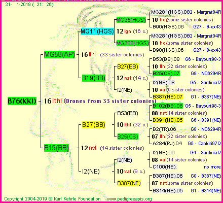 Pedigree of B76(KKI) :
four generations presented<br />it's temporarily unavailable, sorry!