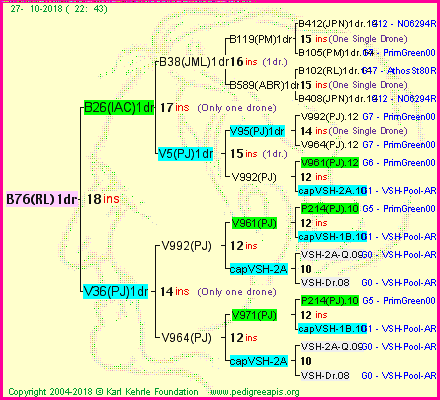 Pedigree of B76(RL)1dr :
four generations presented
it's temporarily unavailable, sorry!