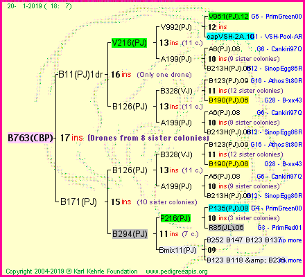 Pedigree of B763(CBP) :
four generations presented<br />it's temporarily unavailable, sorry!