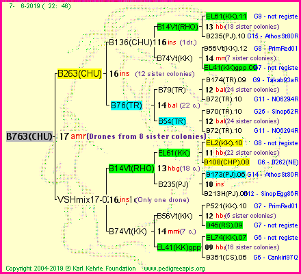 Pedigree of B763(CHU) :
four generations presented
it's temporarily unavailable, sorry!