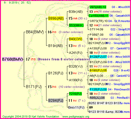 Pedigree of B768(BMV) :
four generations presented<br />it's temporarily unavailable, sorry!