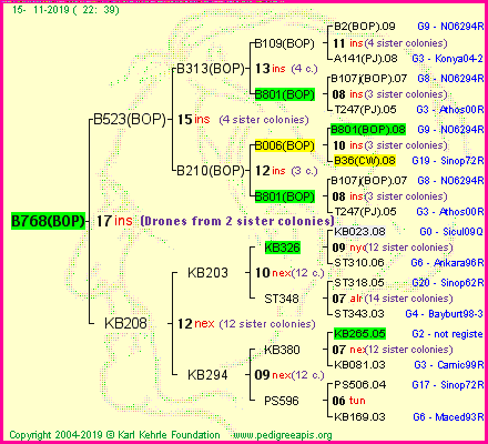 Pedigree of B768(BOP) :
four generations presented<br />it's temporarily unavailable, sorry!