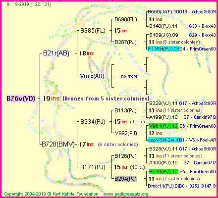 Pedigree of B76v(VD) :
four generations presented<br />it's temporarily unavailable, sorry!