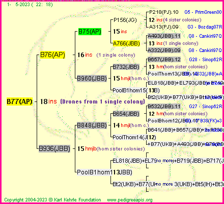 Pedigree of B77(AP) :
four generations presented
it's temporarily unavailable, sorry!