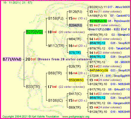 Pedigree of B77(AVM) :
four generations presented
it's temporarily unavailable, sorry!