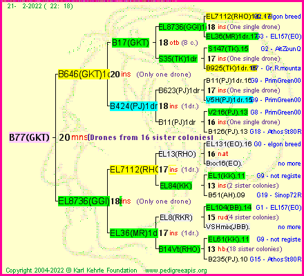 Pedigree of B77(GKT) :
four generations presented
it's temporarily unavailable, sorry!