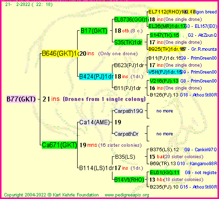 Pedigree of B77(GKT) :
four generations presented
it's temporarily unavailable, sorry!