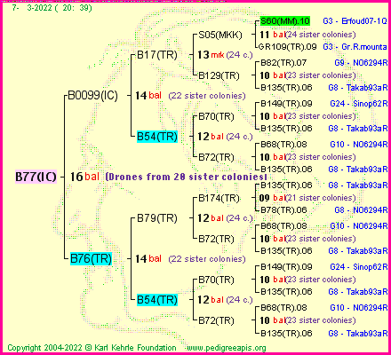 Pedigree of B77(IC) :
four generations presented
it's temporarily unavailable, sorry!