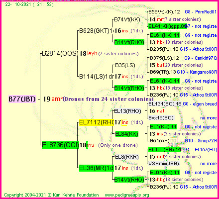 Pedigree of B77(JBT) :
four generations presented
it's temporarily unavailable, sorry!