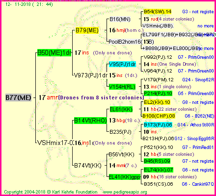 Pedigree of B77(ME) :
four generations presented
it's temporarily unavailable, sorry!