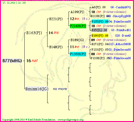 Pedigree of B77(MHG) :
four generations presented
it's temporarily unavailable, sorry!