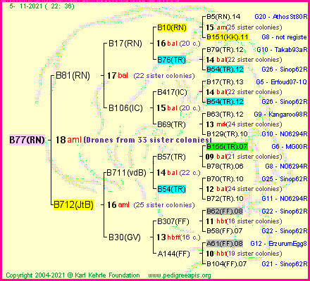 Pedigree of B77(RN) :
four generations presented
it's temporarily unavailable, sorry!