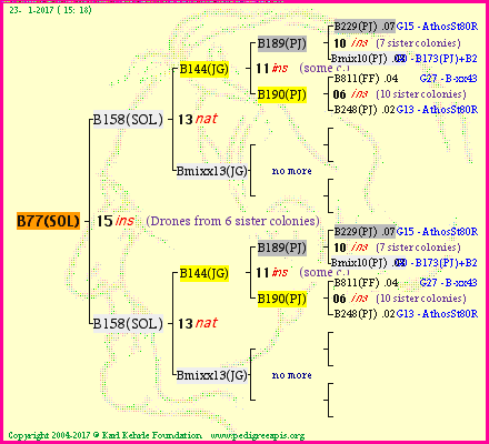 Pedigree of B77(SOL) :
four generations presented
it's temporarily unavailable, sorry!