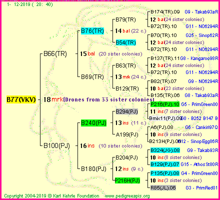 Pedigree of B77(VKV) :
four generations presented
it's temporarily unavailable, sorry!