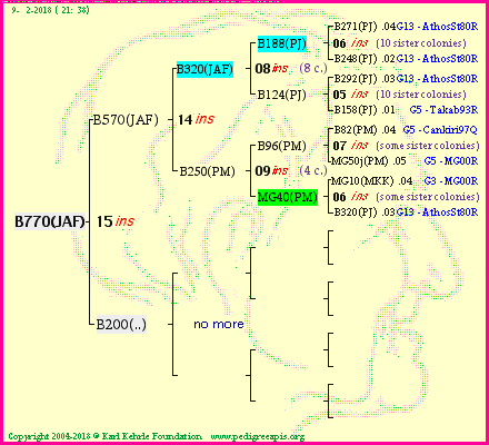 Pedigree of B770(JAF) :
four generations presented
it's temporarily unavailable, sorry!