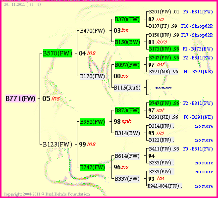 Pedigree of B771(FW) :
four generations presented