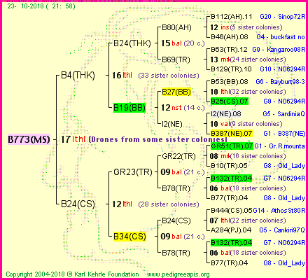 Pedigree of B773(MS) :
four generations presented<br />it's temporarily unavailable, sorry!