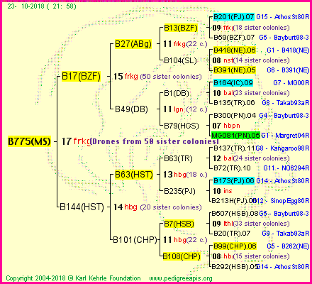 Pedigree of B775(MS) :
four generations presented<br />it's temporarily unavailable, sorry!