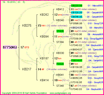 Pedigree of B775(NG) :
four generations presented<br />it's temporarily unavailable, sorry!