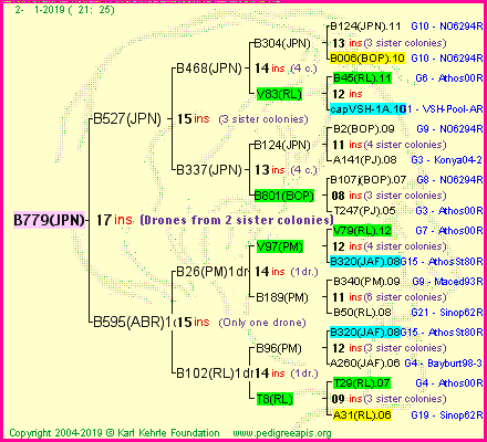 Pedigree of B779(JPN) :
four generations presented
it's temporarily unavailable, sorry!