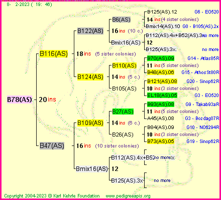 Pedigree of B78(AS) :
four generations presented
it's temporarily unavailable, sorry!