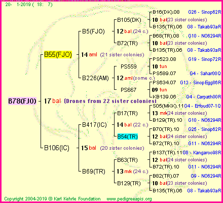 Pedigree of B78(FJO) :
four generations presented<br />it's temporarily unavailable, sorry!