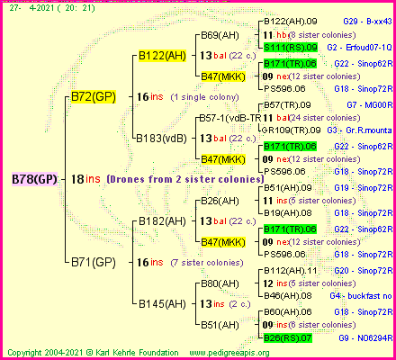 Pedigree of B78(GP) :
four generations presented
it's temporarily unavailable, sorry!