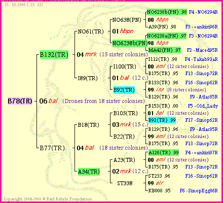 Pedigree of B78(TR) :
four generations presented<br />it's temporarily unavailable, sorry!