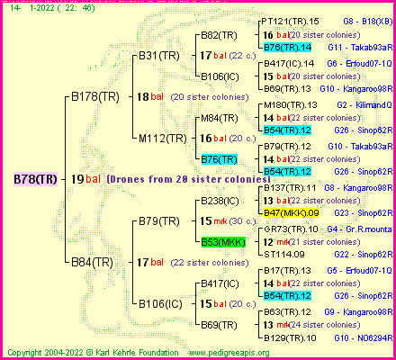 Pedigree of B78(TR) :
four generations presented
it's temporarily unavailable, sorry!