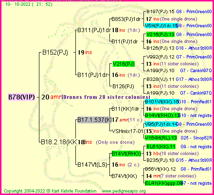 Pedigree of B78(VIP) :
four generations presented
it's temporarily unavailable, sorry!