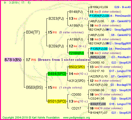 Pedigree of B781(BS) :
four generations presented
it's temporarily unavailable, sorry!