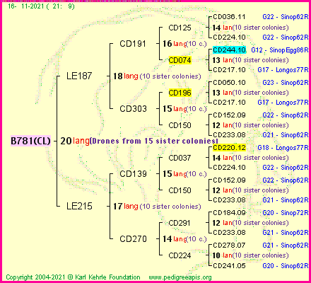 Pedigree of B781(CL) :
four generations presented
it's temporarily unavailable, sorry!