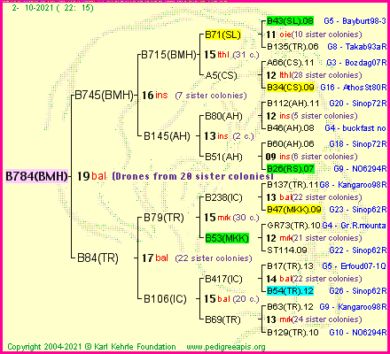 Pedigree of B784(BMH) :
four generations presented
it's temporarily unavailable, sorry!