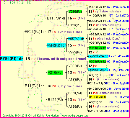 Pedigree of B784(PJ)1dr :
four generations presented
it's temporarily unavailable, sorry!