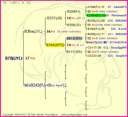 Pedigree of B78j(JYL) :
four generations presented
it's temporarily unavailable, sorry!