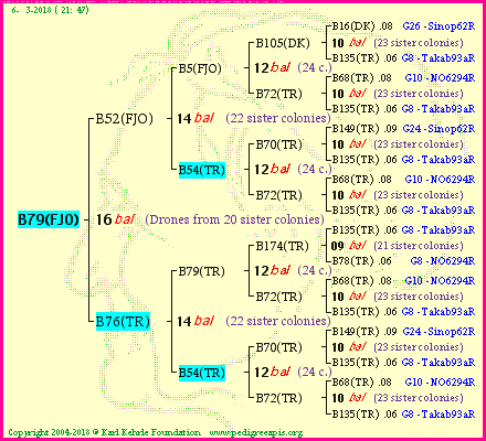 Pedigree of B79(FJO) :
four generations presented