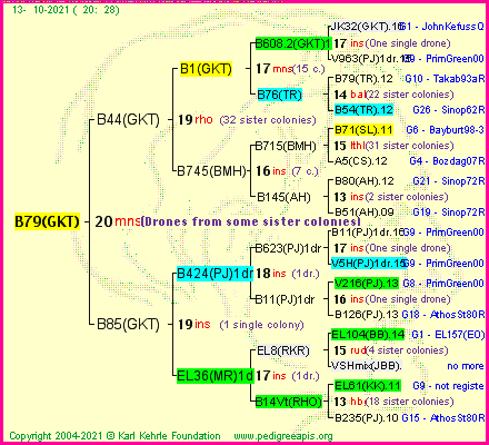 Pedigree of B79(GKT) :
four generations presented
it's temporarily unavailable, sorry!