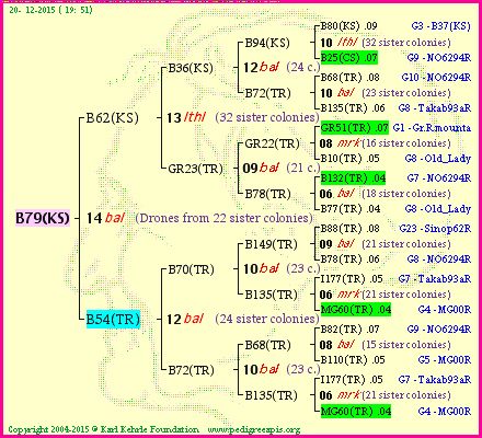 Pedigree of B79(KS) :
four generations presented