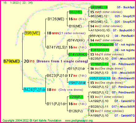 Pedigree of B79(ME) :
four generations presented
it's temporarily unavailable, sorry!