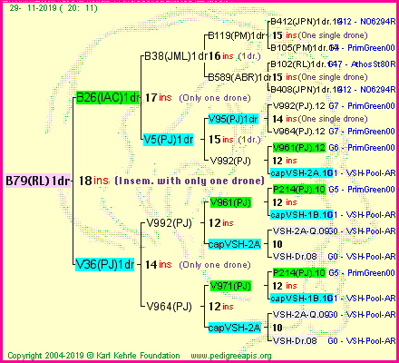 Pedigree of B79(RL)1dr :
four generations presented
it's temporarily unavailable, sorry!