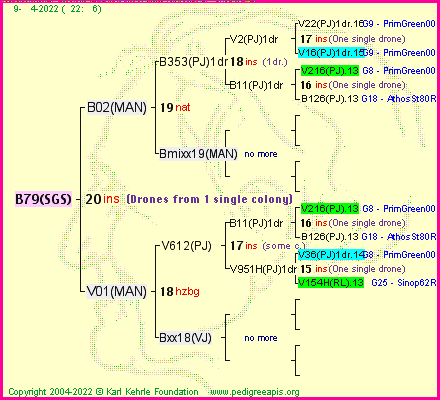 Pedigree of B79(SGS) :
four generations presented
it's temporarily unavailable, sorry!