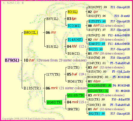 Pedigree of B79(SL) :
four generations presented