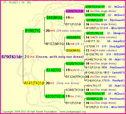 Pedigree of B79(TK)1dr :
four generations presented
it's temporarily unavailable, sorry!