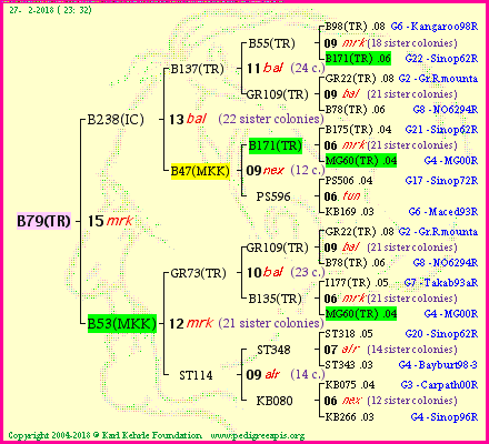 Pedigree of B79(TR) :
four generations presented<br />it's temporarily unavailable, sorry!